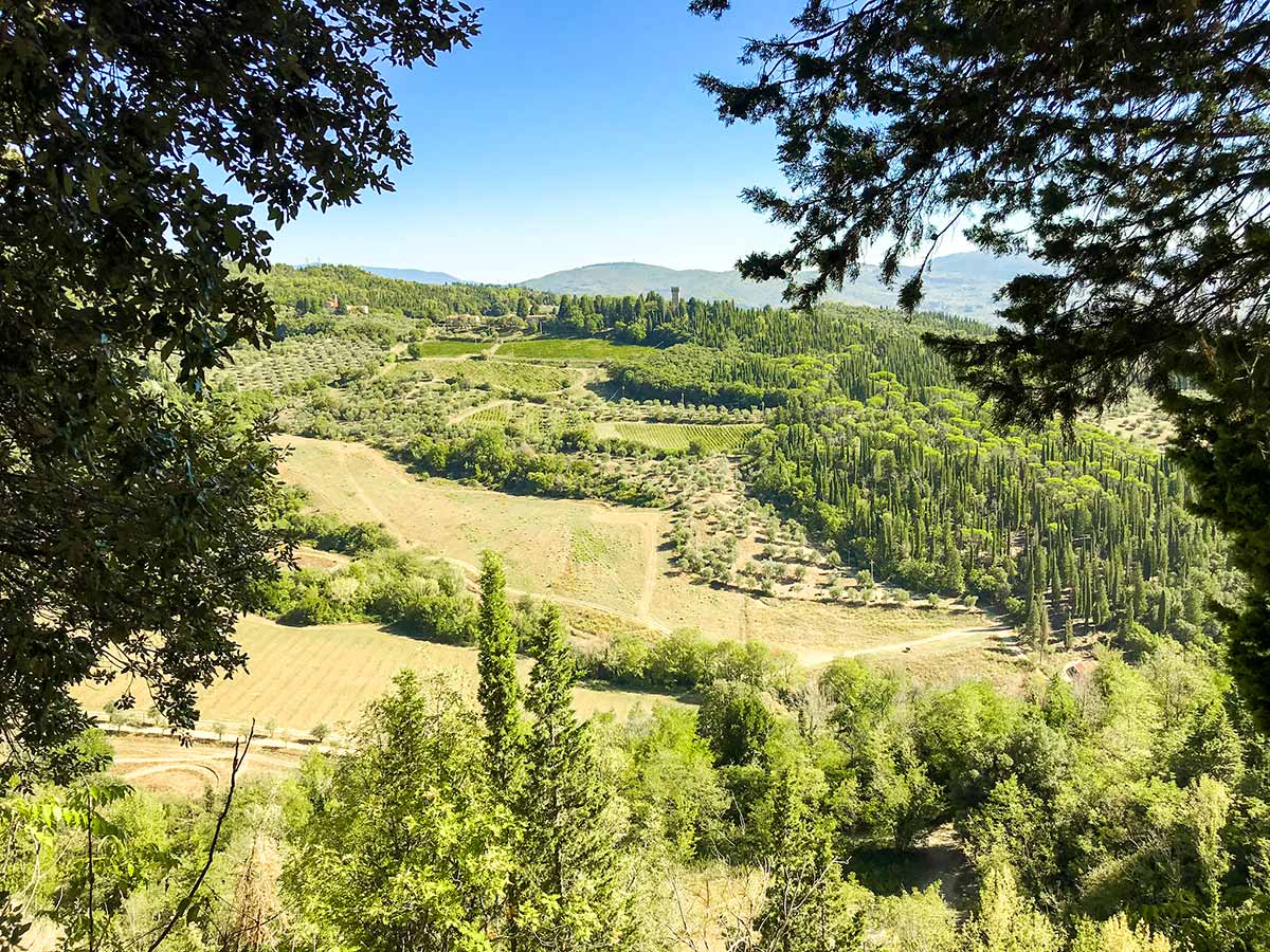 Vineyards and forests on Fiesole to Firenze on the Via degli Dei Hike in Florence, Tuscany