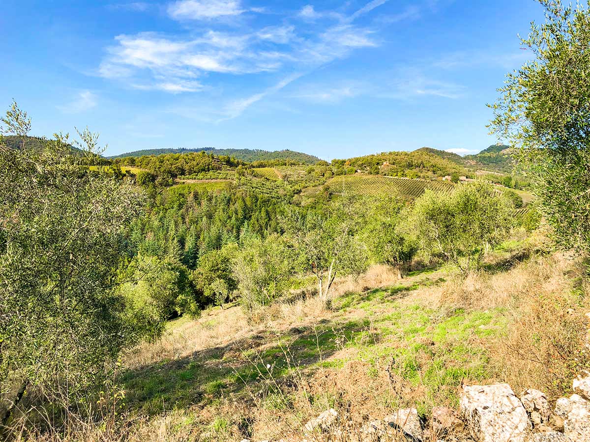 This is where the trail of Gaiole Loop walk in Tuscany begins