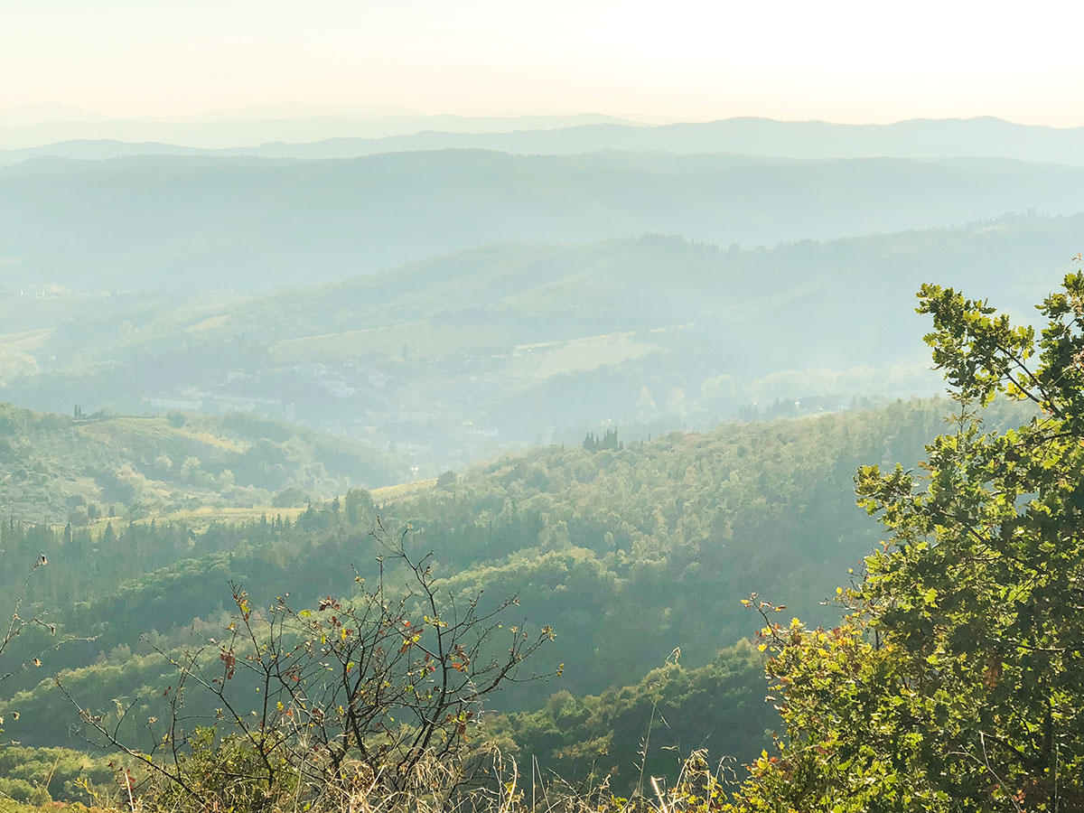 Looking down on the forests around Gaiole on Gaiole Loop Hike in Tuscany, Italy