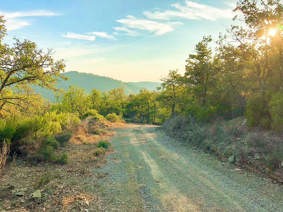 Sunset on Gaiole Loop Hike in Tuscany, Italy