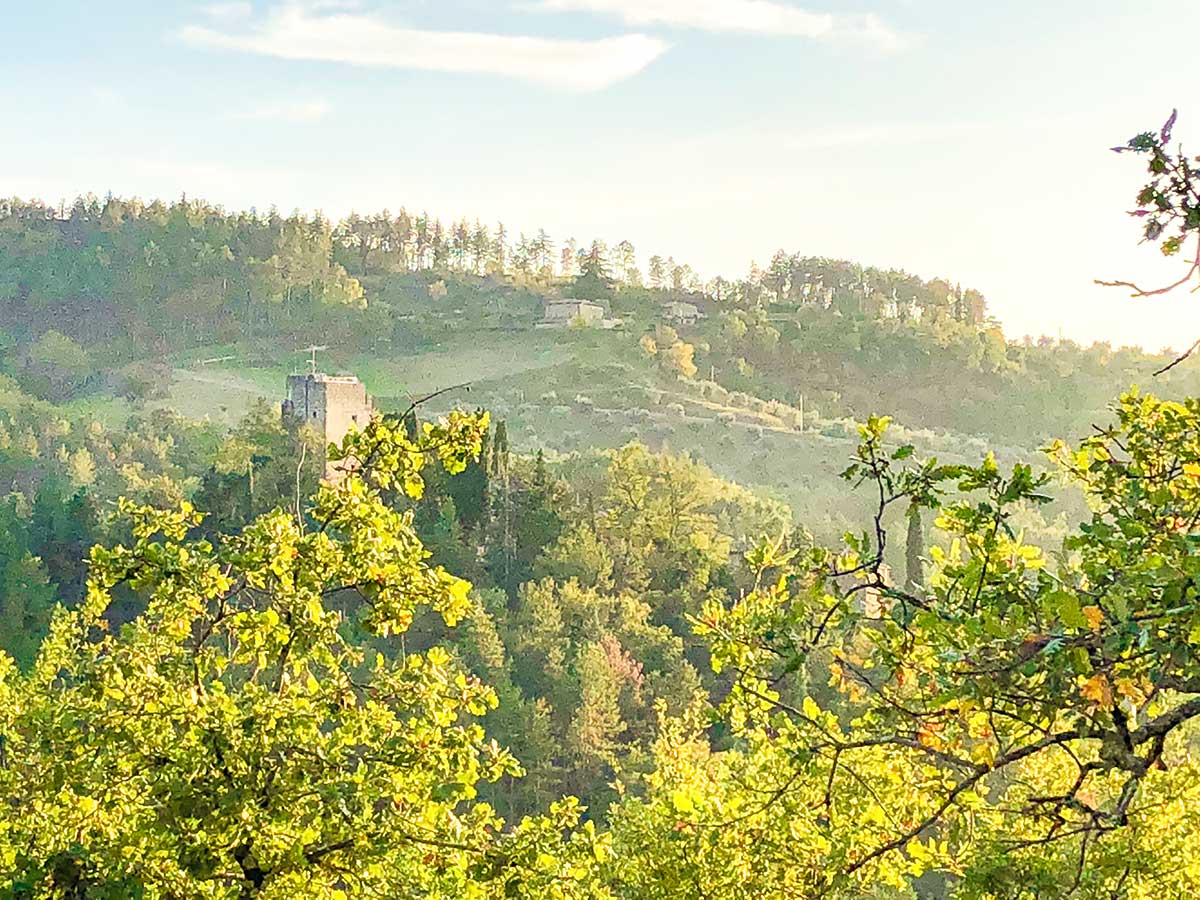 Classic Tuscan views on Gaiole Loop Hike in Italy