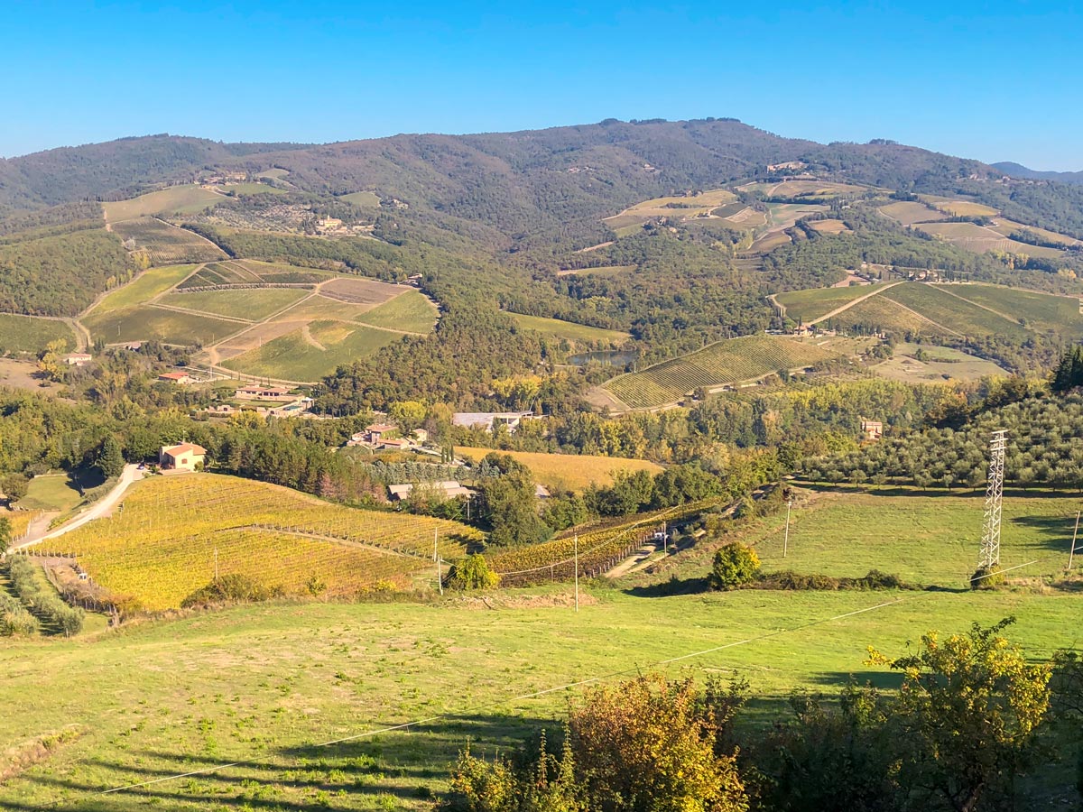 Farms and vineyards near Radda on Radda Loop walk in Tuscany, Italy