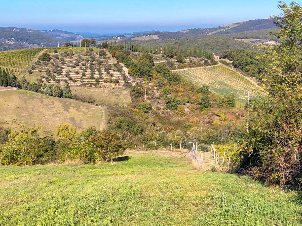 Hills and fields on Radda Loop walk in Tuscany, Italy