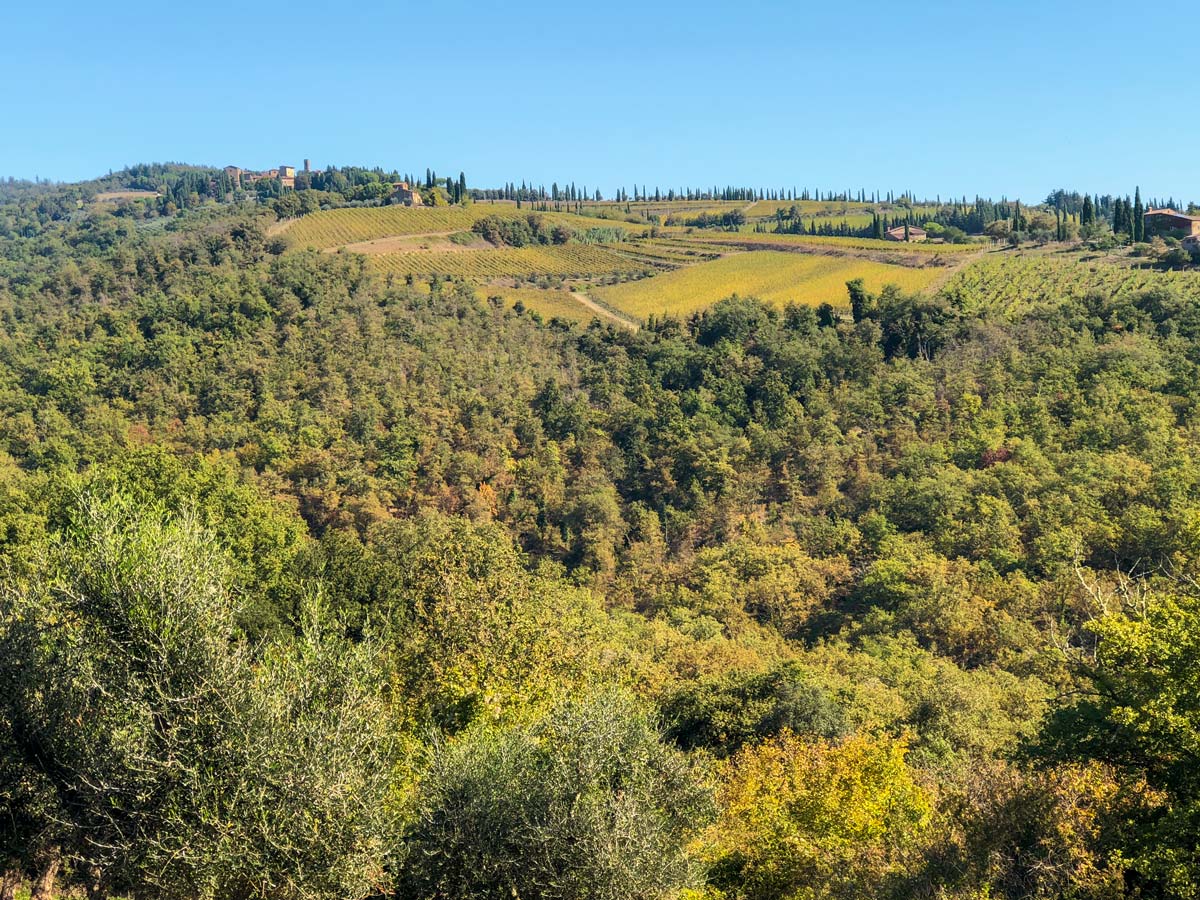 Tuscan hills on Radda Loop walk in Tuscany, Italy