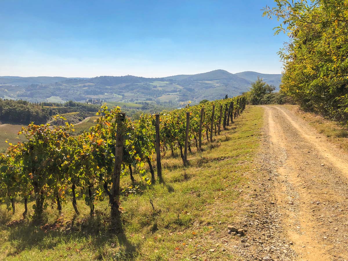Beautiful path through Tuscan countryside along the Radda Loop trail