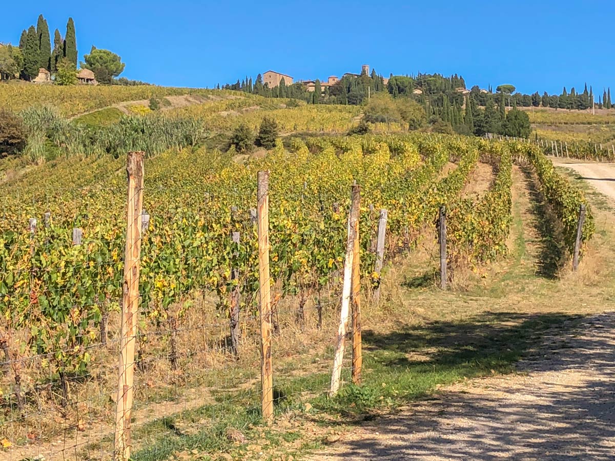 Autumn in Tuscany on Radda Loop Hike