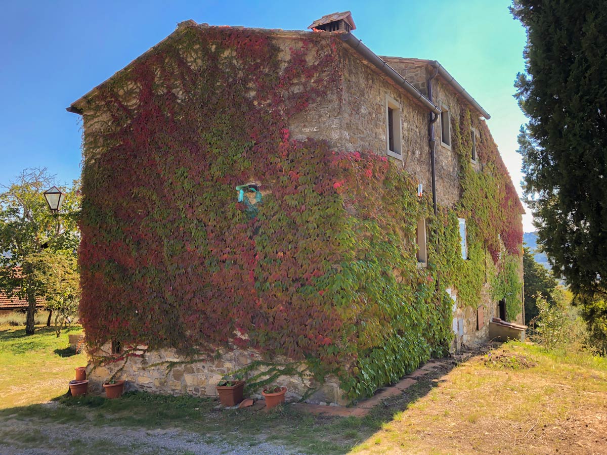 House covered by vines in Radda along the hiking trail