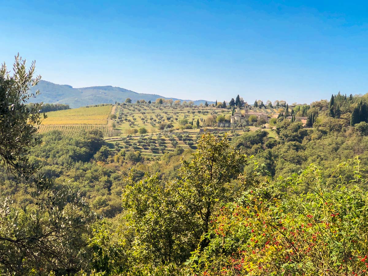 Beautiful Tuscan hills on Radda Loop Hike in Italy