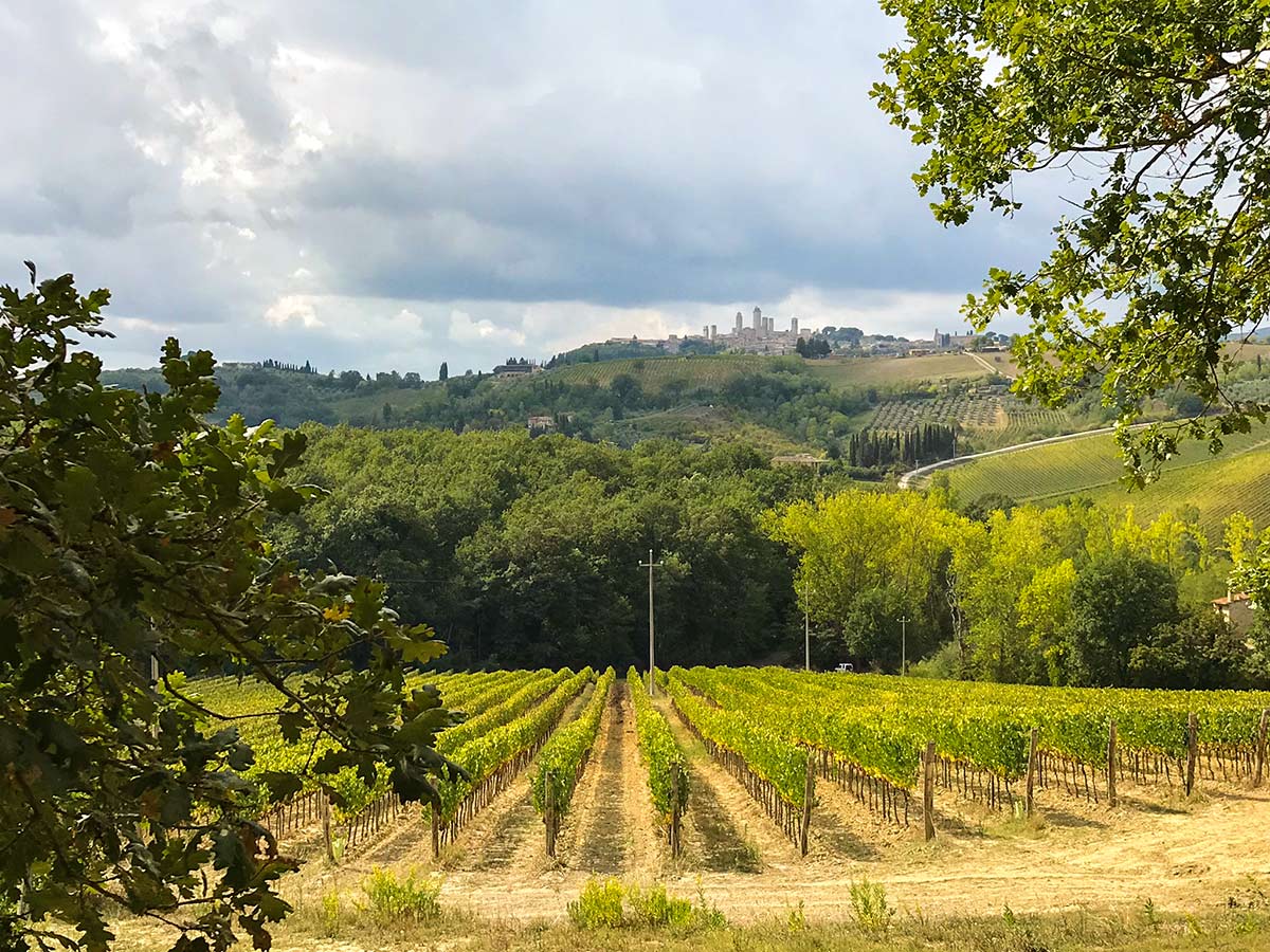 Great views along the San Gimignano Loop Hike in Tuscany