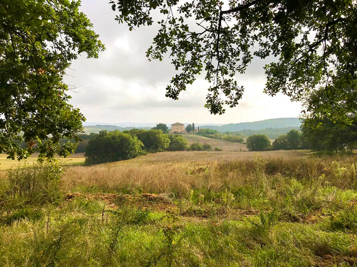 Tuscan countryside on Monteriggioni to Piazza del Campo Siena Via Francigena Hike