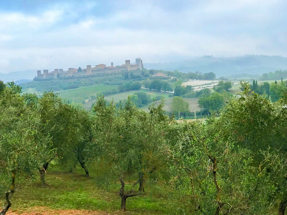 Monteriggioni on Monteriggioni to Piazza del Campo Siena Via Francigena Hike in Tuscany, Italy