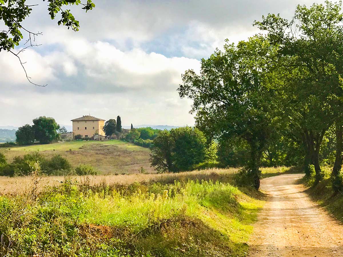 Wide path of Monteriggioni to Piazza del Campo Siena Via Francigena Hike in Tuscany, Italy