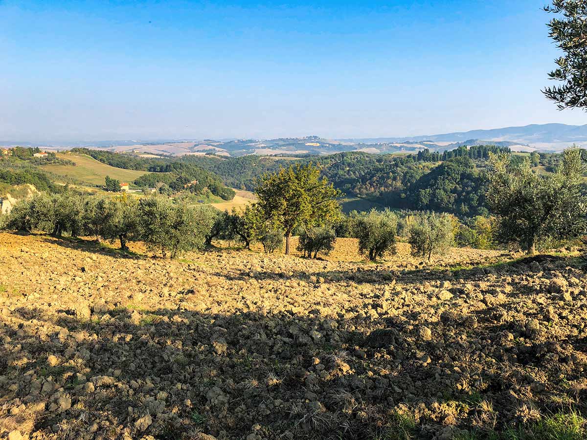 Ploughed fields during the autumn on Volterra Loop Hike in Tuscany
