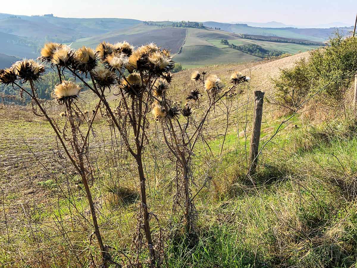 Autumn in Italy on Volterra Loop Hike in Tuscany