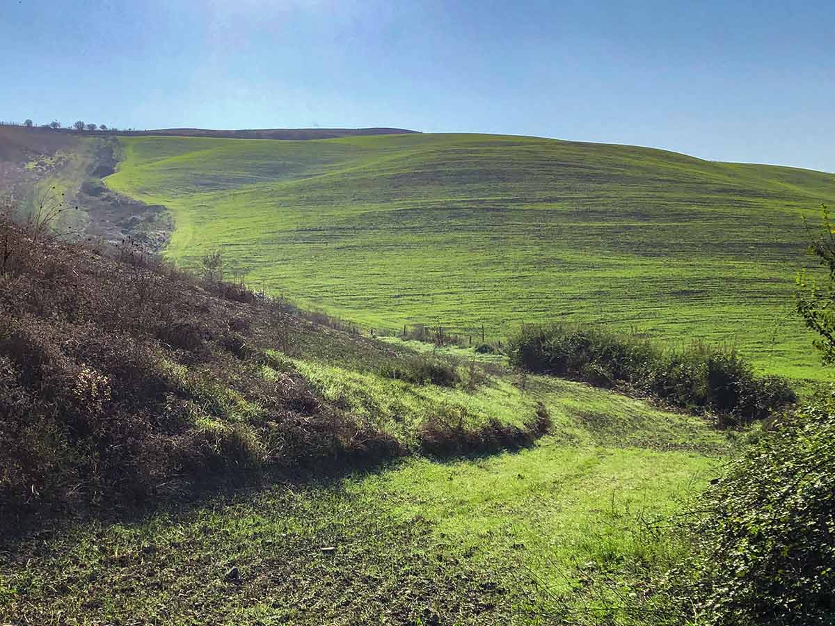 Volterra circular walk leads through beautiful green hills of Tuscany