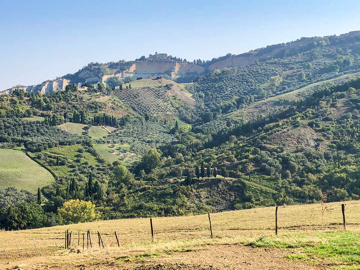 Countless vineyards as seen on Volterra Loop Hike in Tuscany
