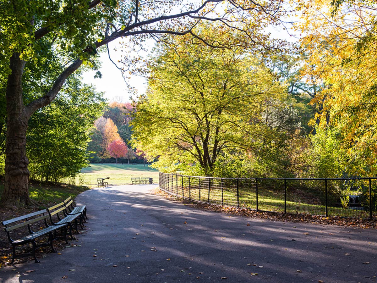 Beautiful path through Prospect Park on Brooklyn Park Slope Walking Tour in New York City