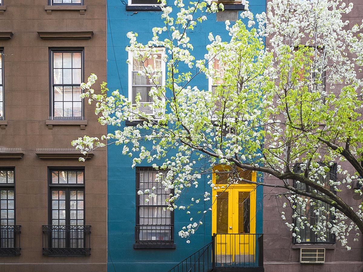 Beautiful blossoms in Chelsea on Highline, Greenwich Village and Soho Walking Tour in New York City