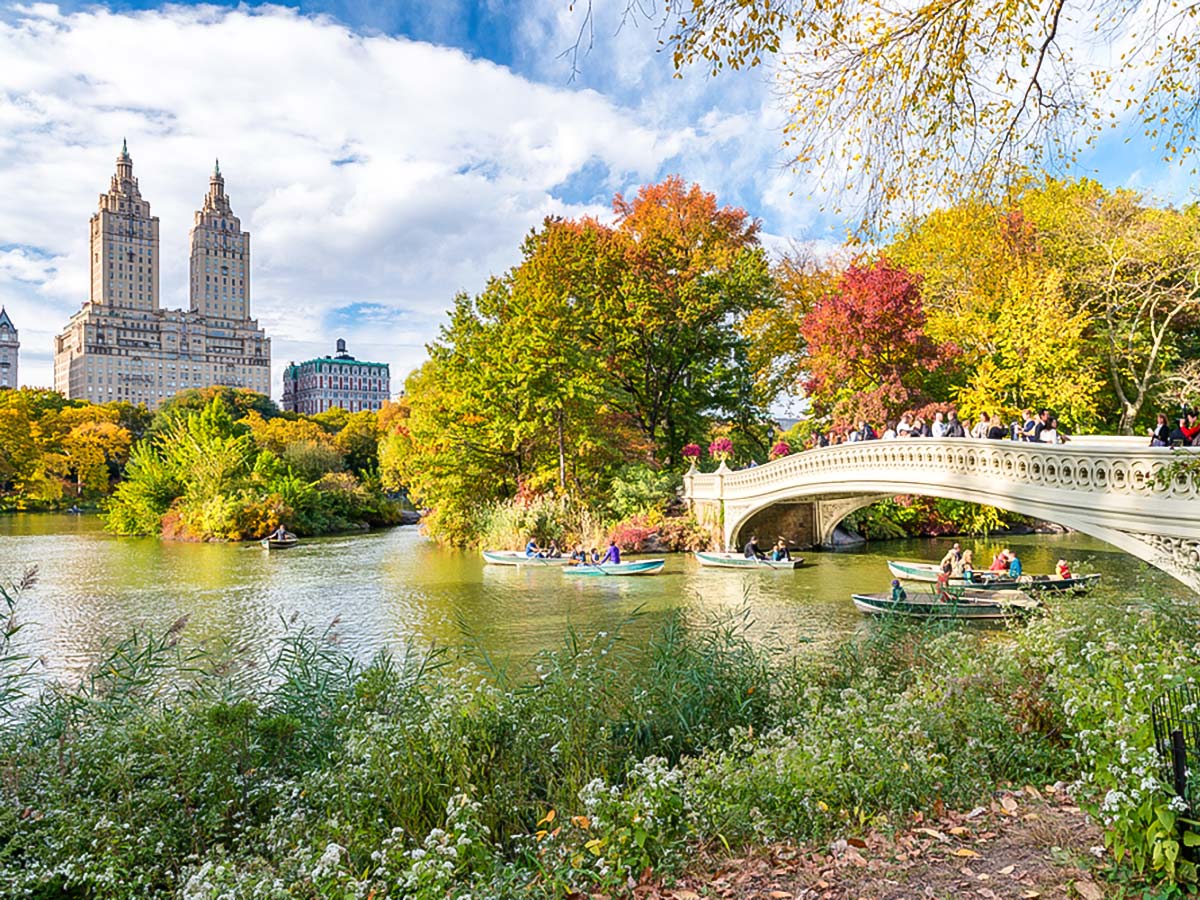 Row Boats on the lake on Central Park and the Museums Walking Tour in New York City