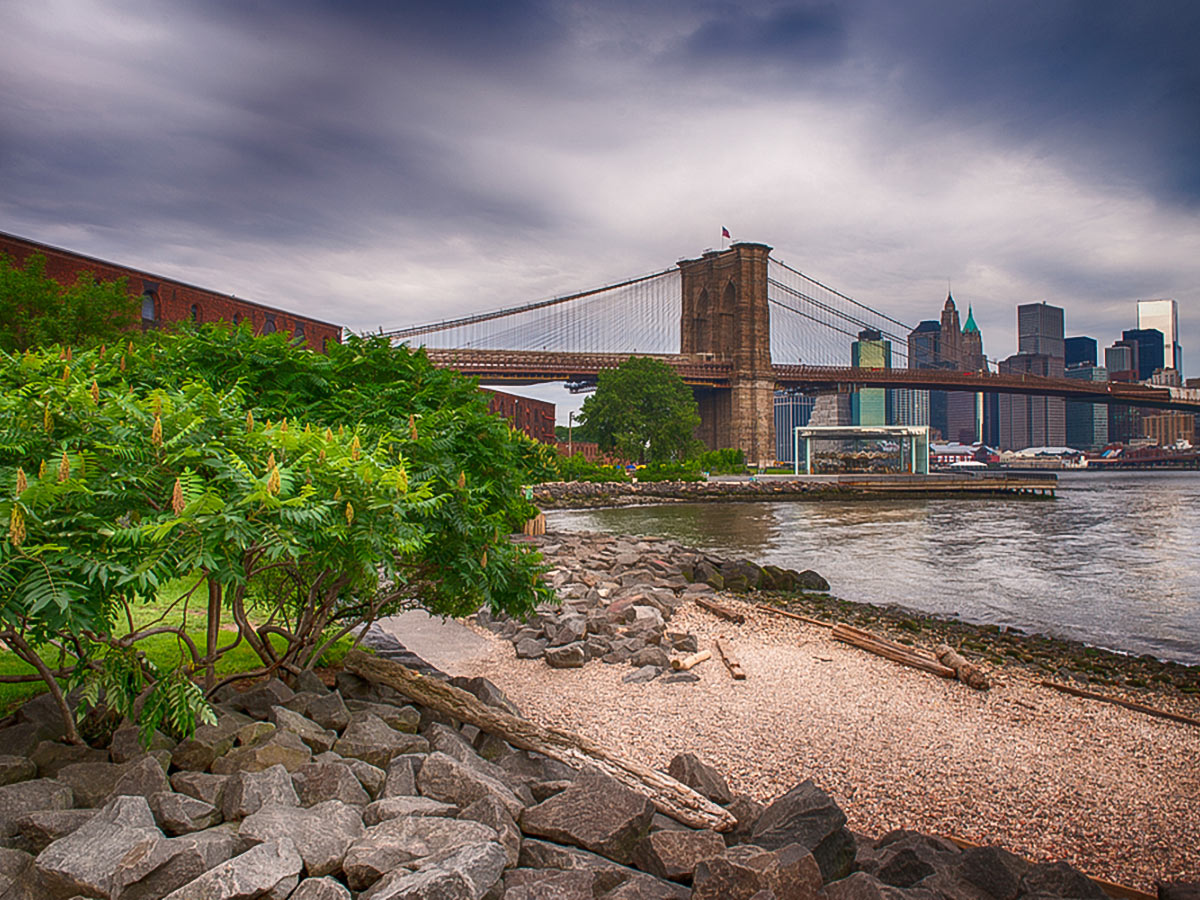 The Brooklyn Bridge on Williamsburg Walking Tour in New York City