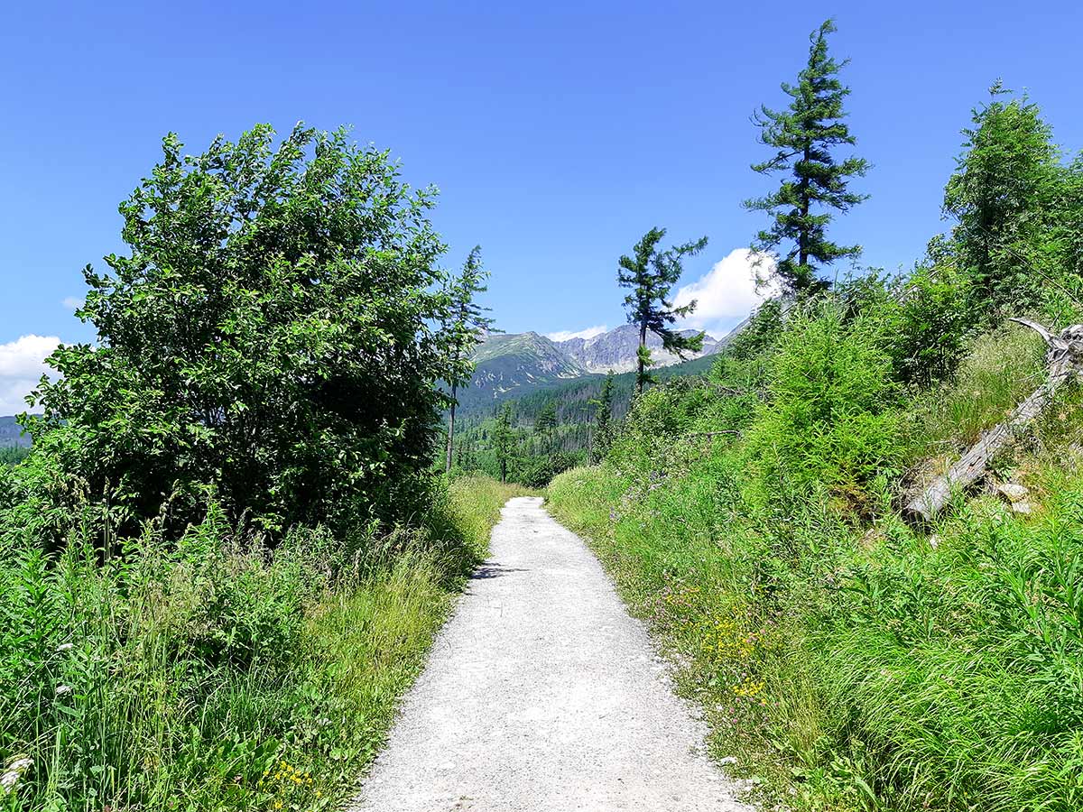 Trail starting near Hotel Solisko