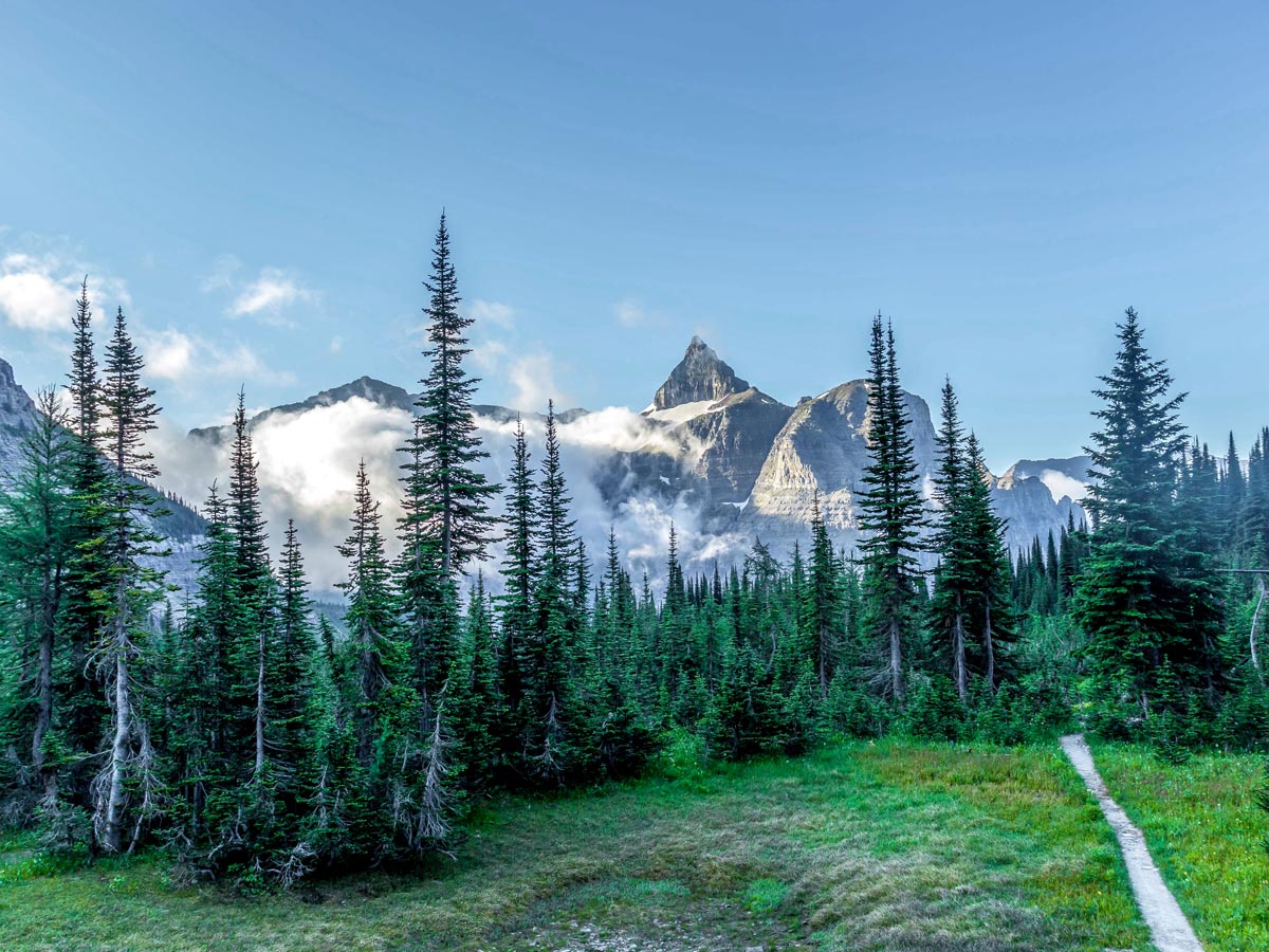 Beautiful white peaks behind the forest on Boulder Pass Backpacking Trail in Glacier National Park