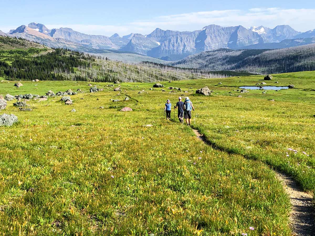 Three hikers approaching the dead forest on Highline backpacking trail in Glacier National Park, Montana