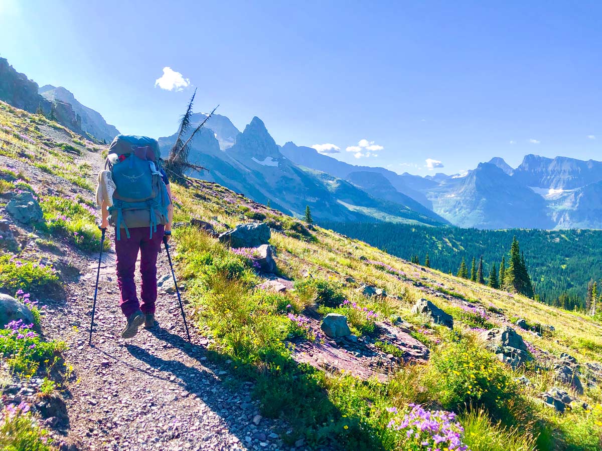 Hiker approaching the Swiftcurrent Pass on Highline backpacking trail in Glacier National Park, Montana