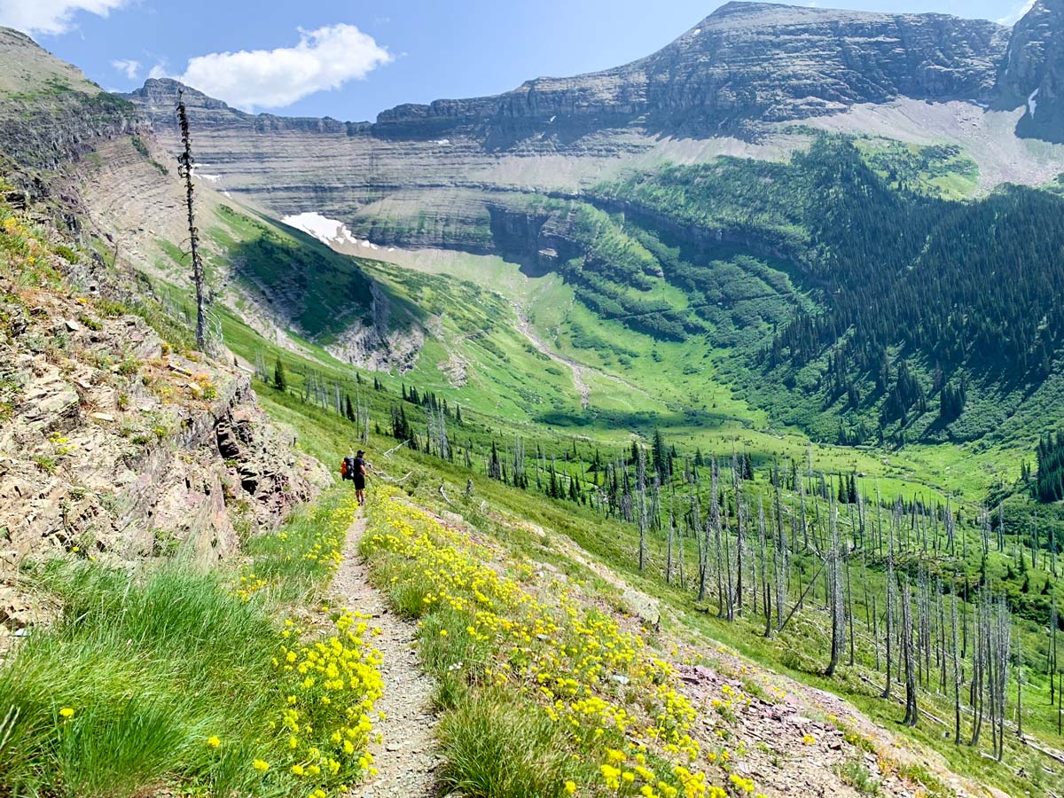 Stunning views of the valley on Highline backpacking trail in Glacier National Park, Montana