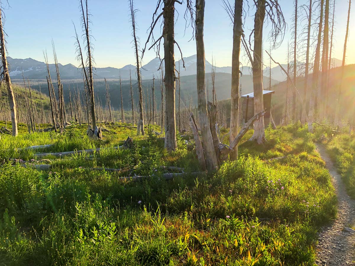 The prettiest outhouse on earth on Highline backpacking trail in Glacier National Park, Montana