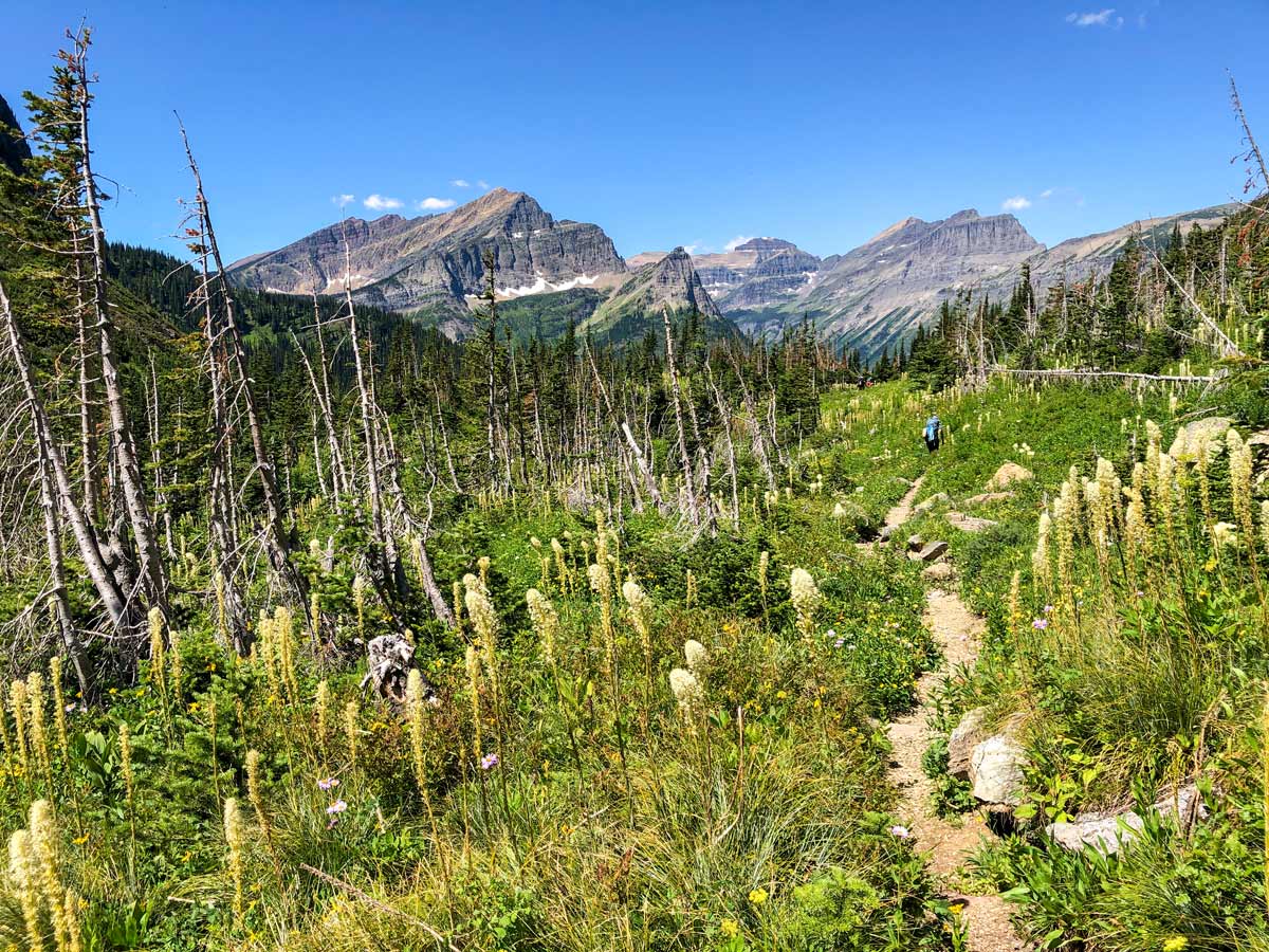 Hiking on North Circle Backpacking Trail in Glacier National Park