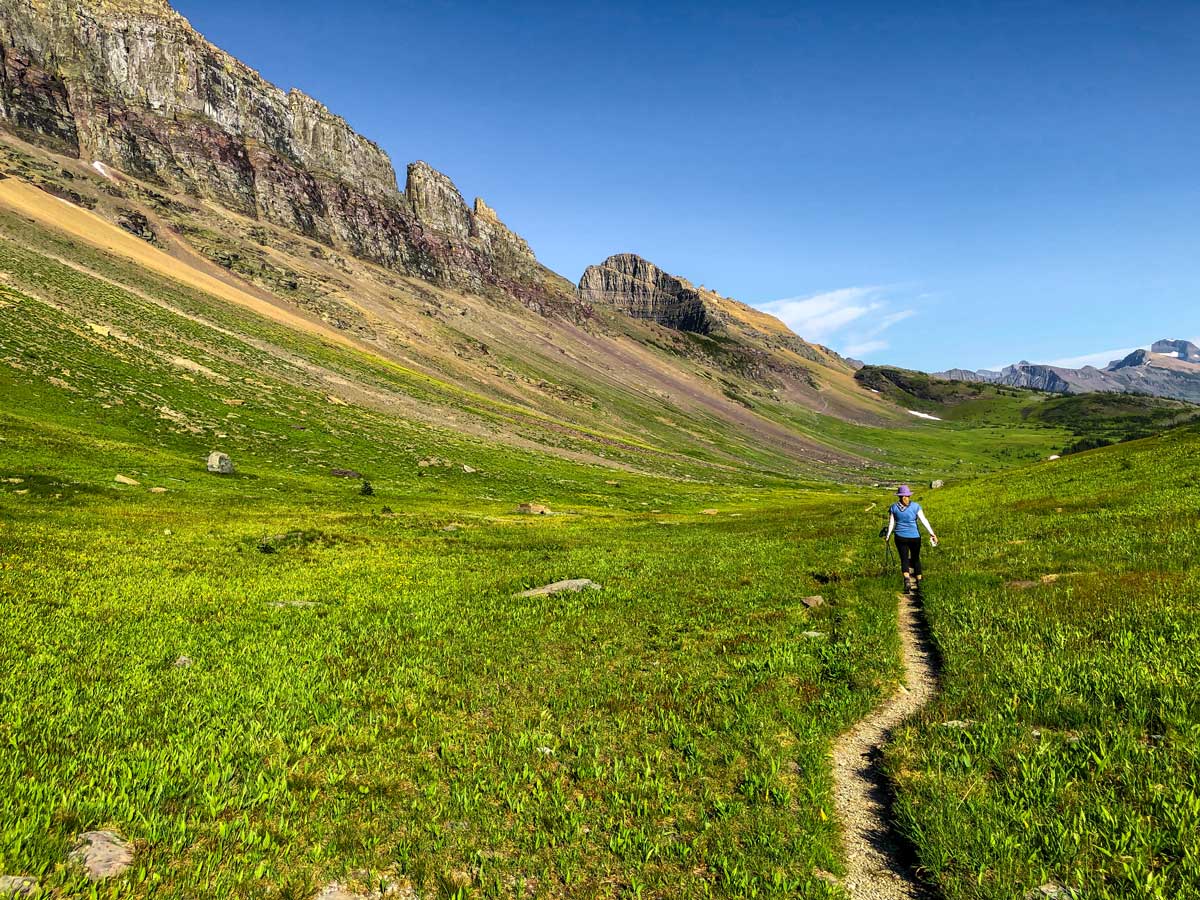 Trail to Fifty Mountain Campsite on North Circle Backpacking Trail in Glacier National Park