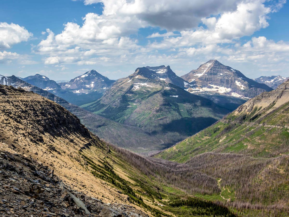 Burnt out forest on Pitamakan Dawson Loop Backpacking Trail in Glacier National Park