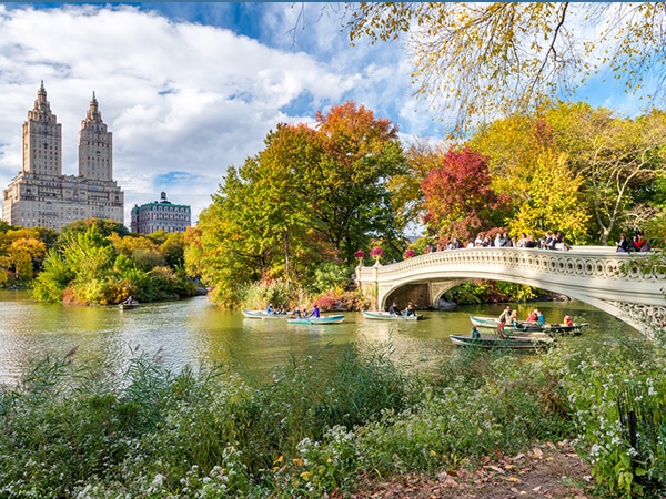 Beautiful autumn colours on Central Park and the Museums Walking Tour in New York City