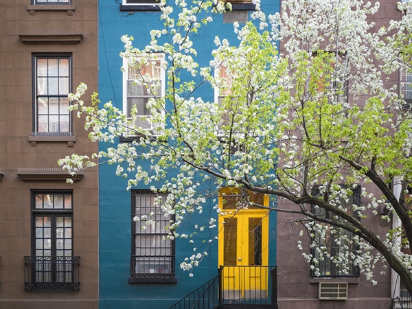 Blossoms and colourful buildings on Highline, Greenwich Village and Soho Walking Tour in New York City