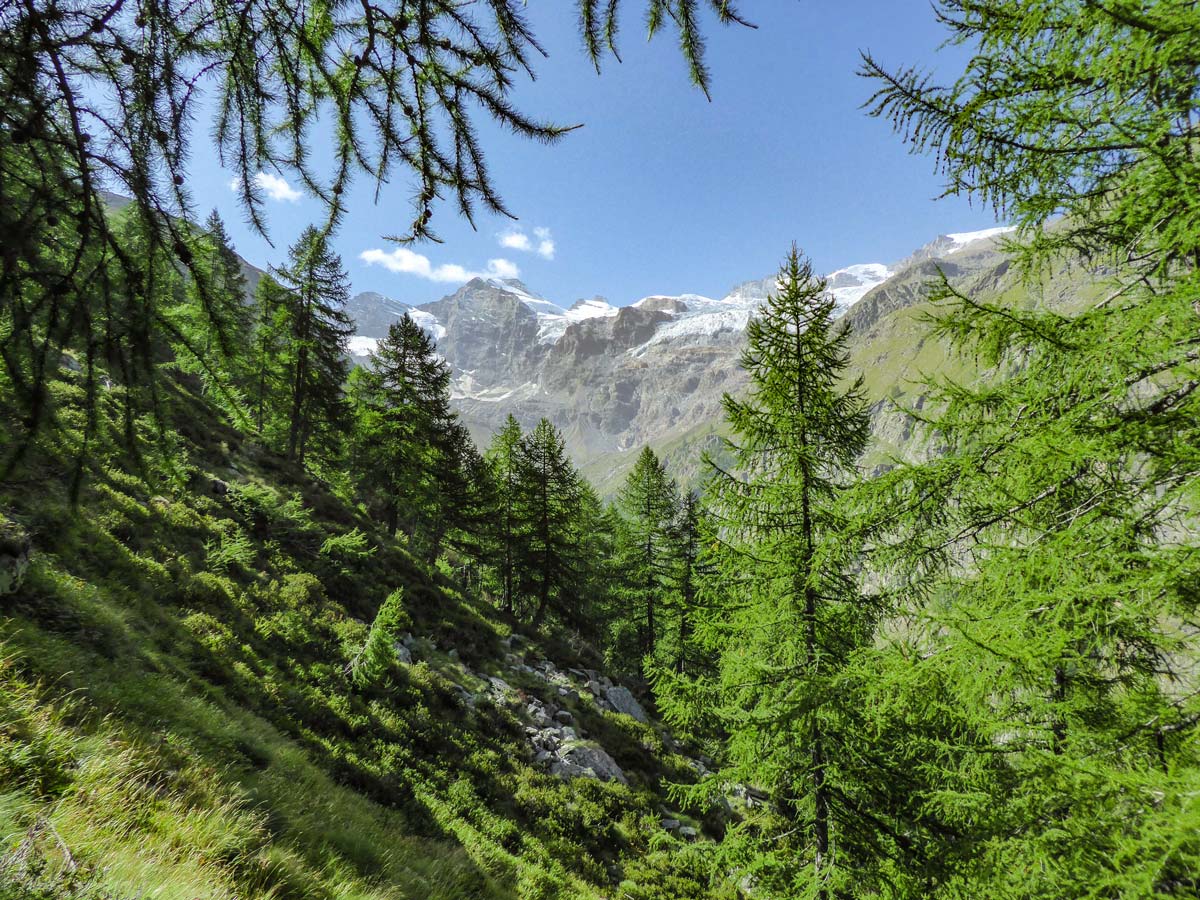 Slowly ascending on Alpe Money trail in Italy