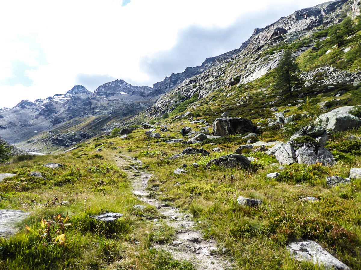 Ascent of Ghiacciaio Grand Étret hike in Gran Paradiso National Park