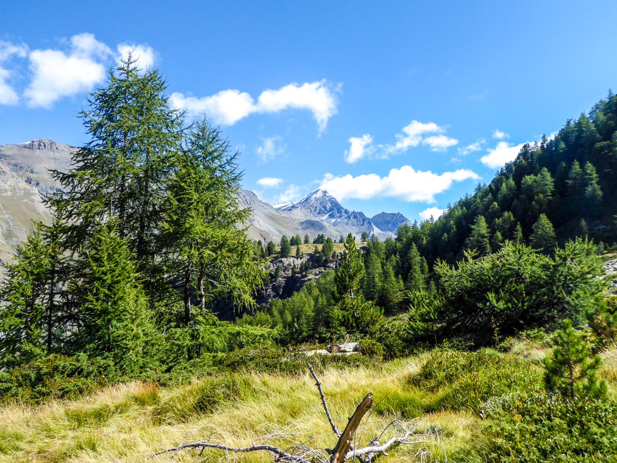 Beautiful trail towards the lake on Lago di Loie hike in Gran Paradiso National Park, Italy