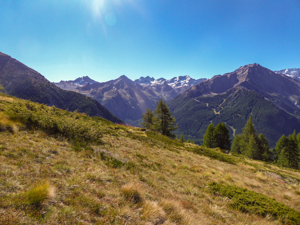 Meadows along the trail on Tsaplana hike in Gran Paradiso National Park, Italy