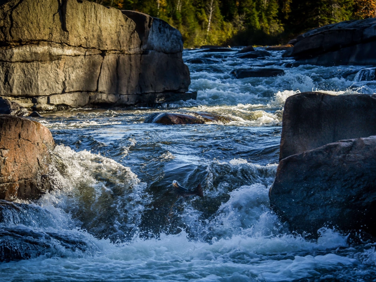 Sentier Nepisiguit Mi'gmaq Trail-stunning nature (credit Coleen Ramsey)