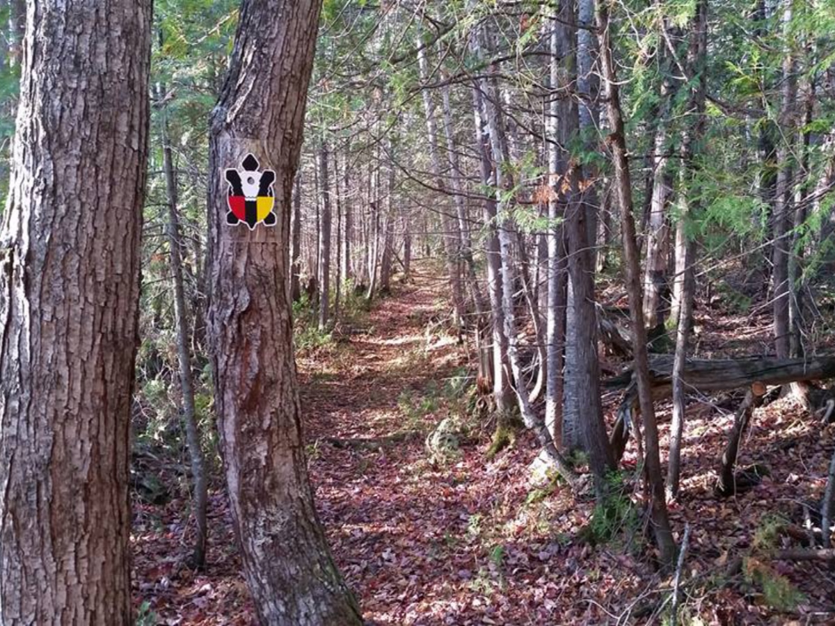 Sentier Nepisiguit Mi'gmaq Trail-forest trail