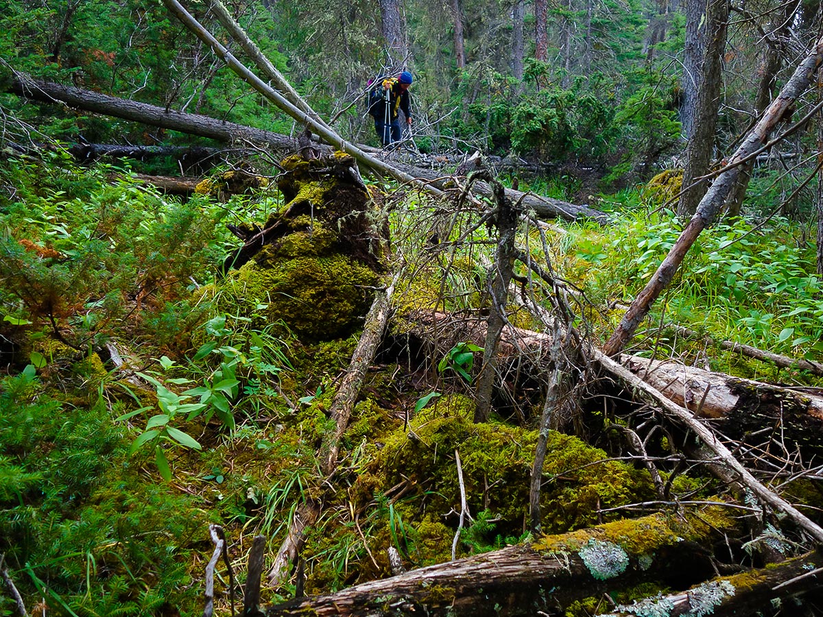 David Thompson Heritage Trail