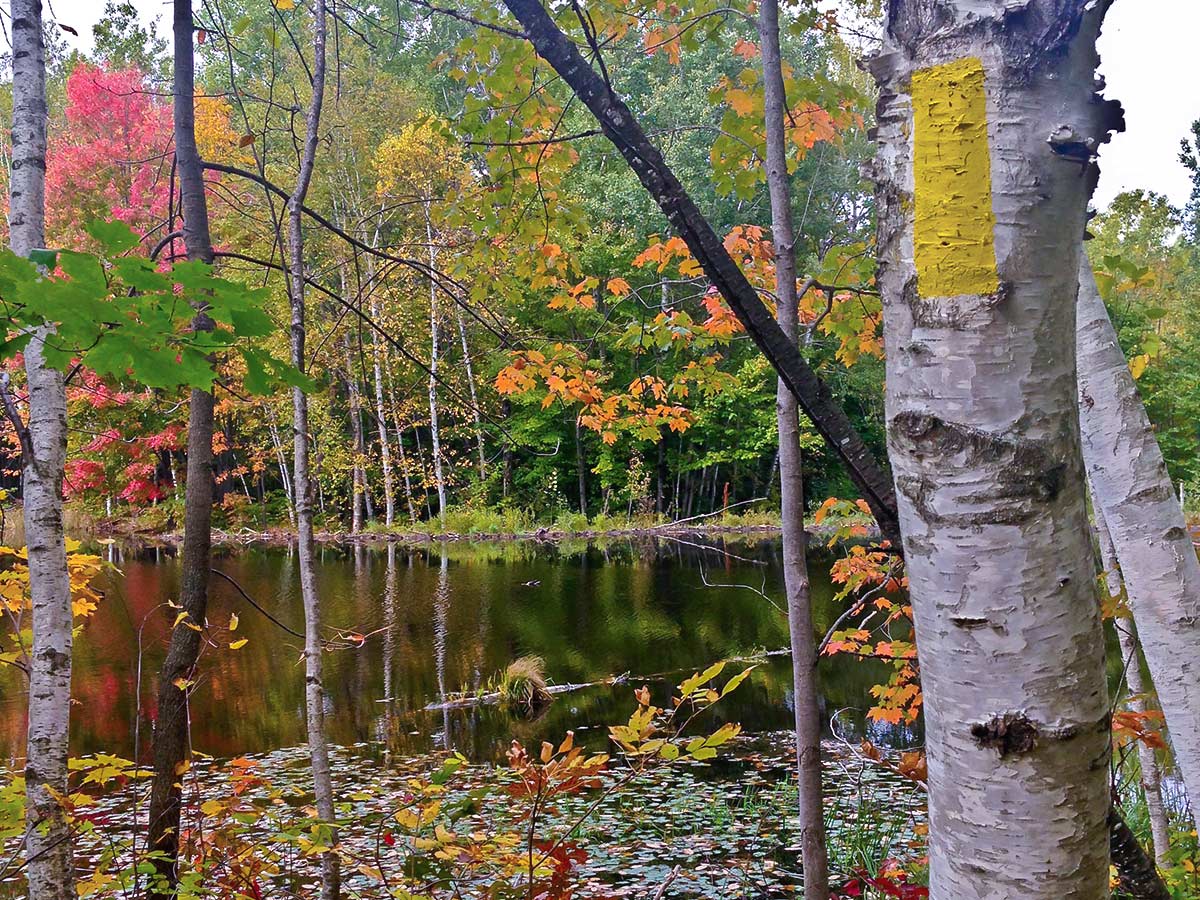 Ice Age Trail water ponds