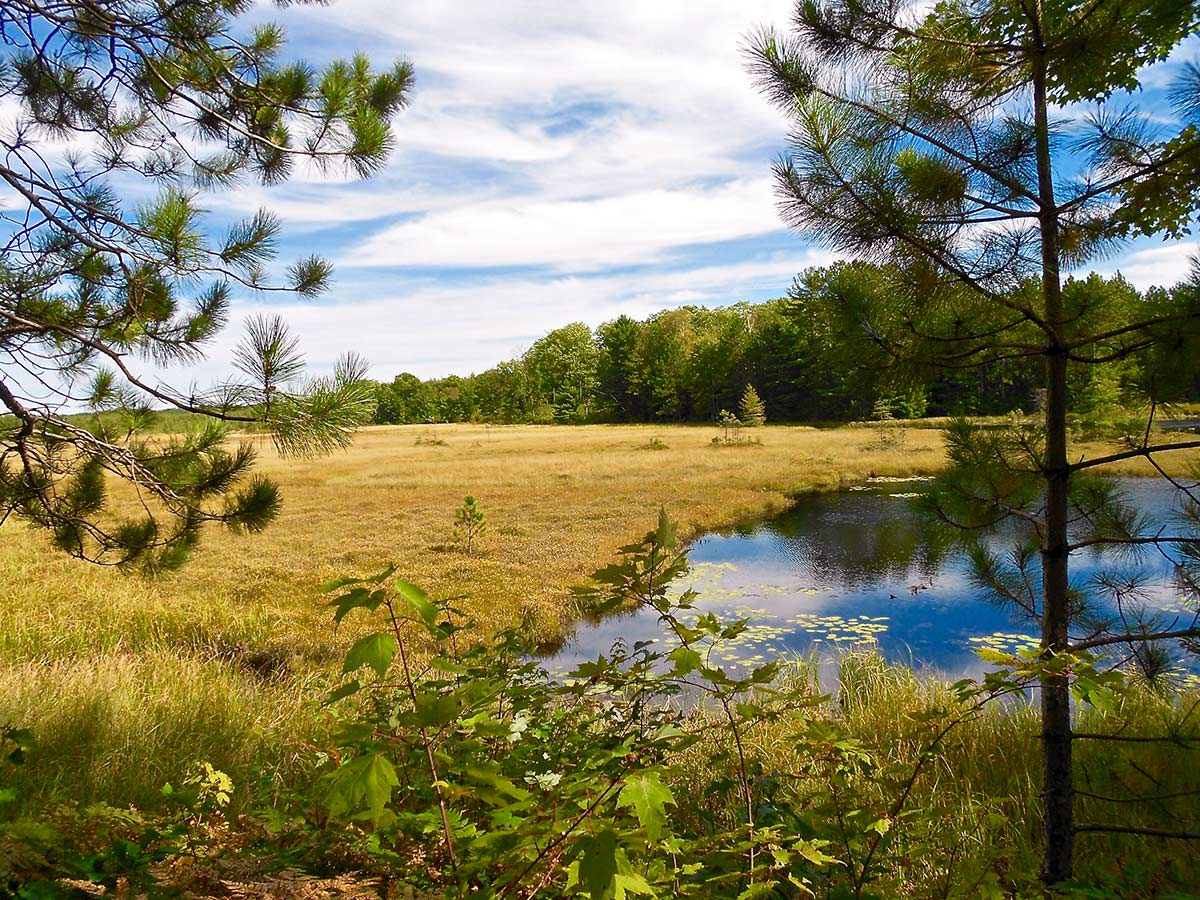 Ice Age Trail open meadows