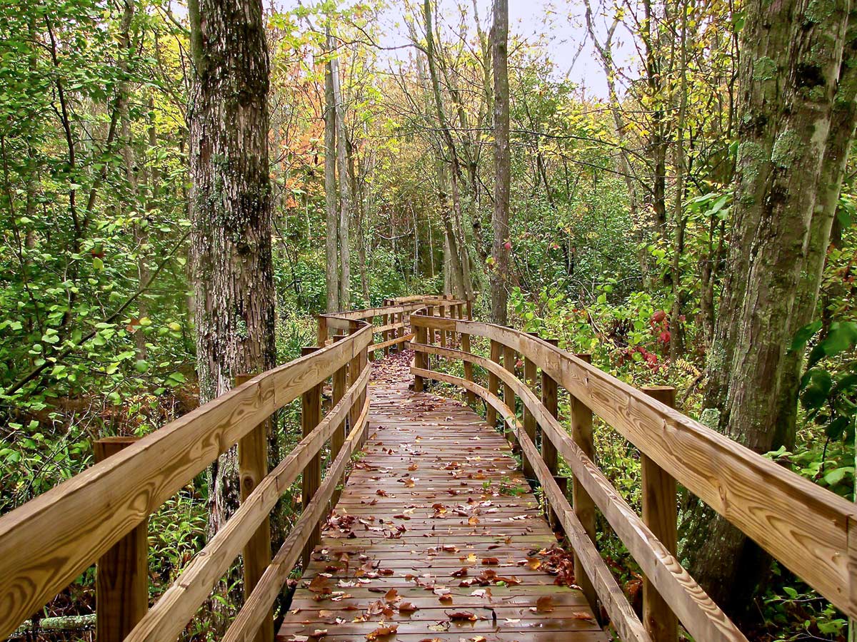 Ice Age Trail path through the forest