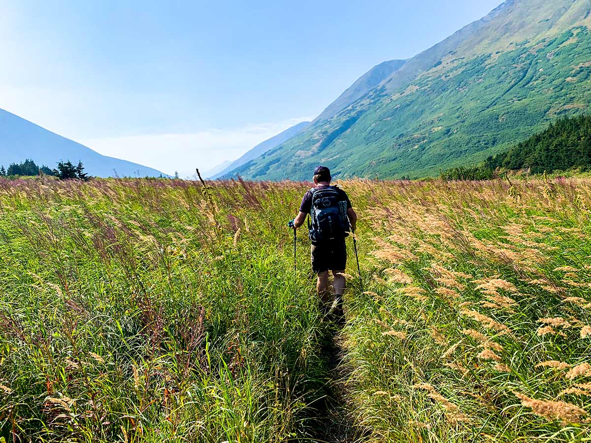 Hiking through wildflowers on a trail to Carter and Crescent Lakes