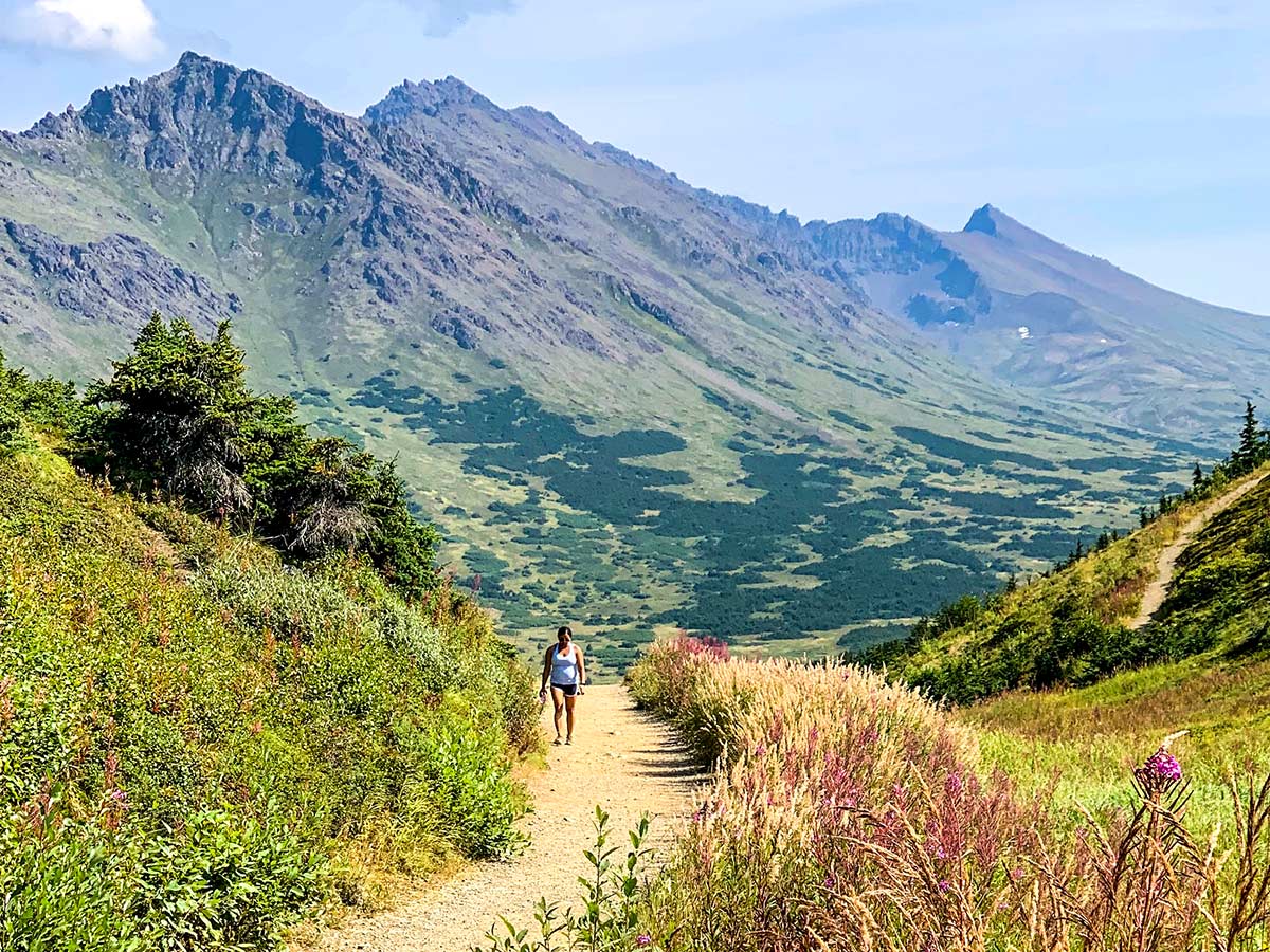 Hiking on the Blueberry Loop towards Flattop Mountain in Alaska