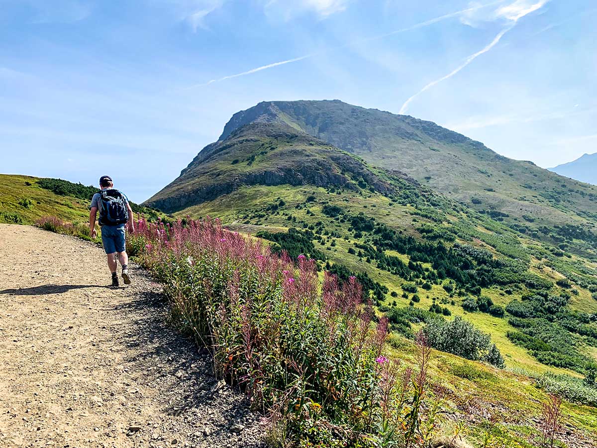 Hiker on wide path of Flattop Mountain Trail near Anchorage Alaska