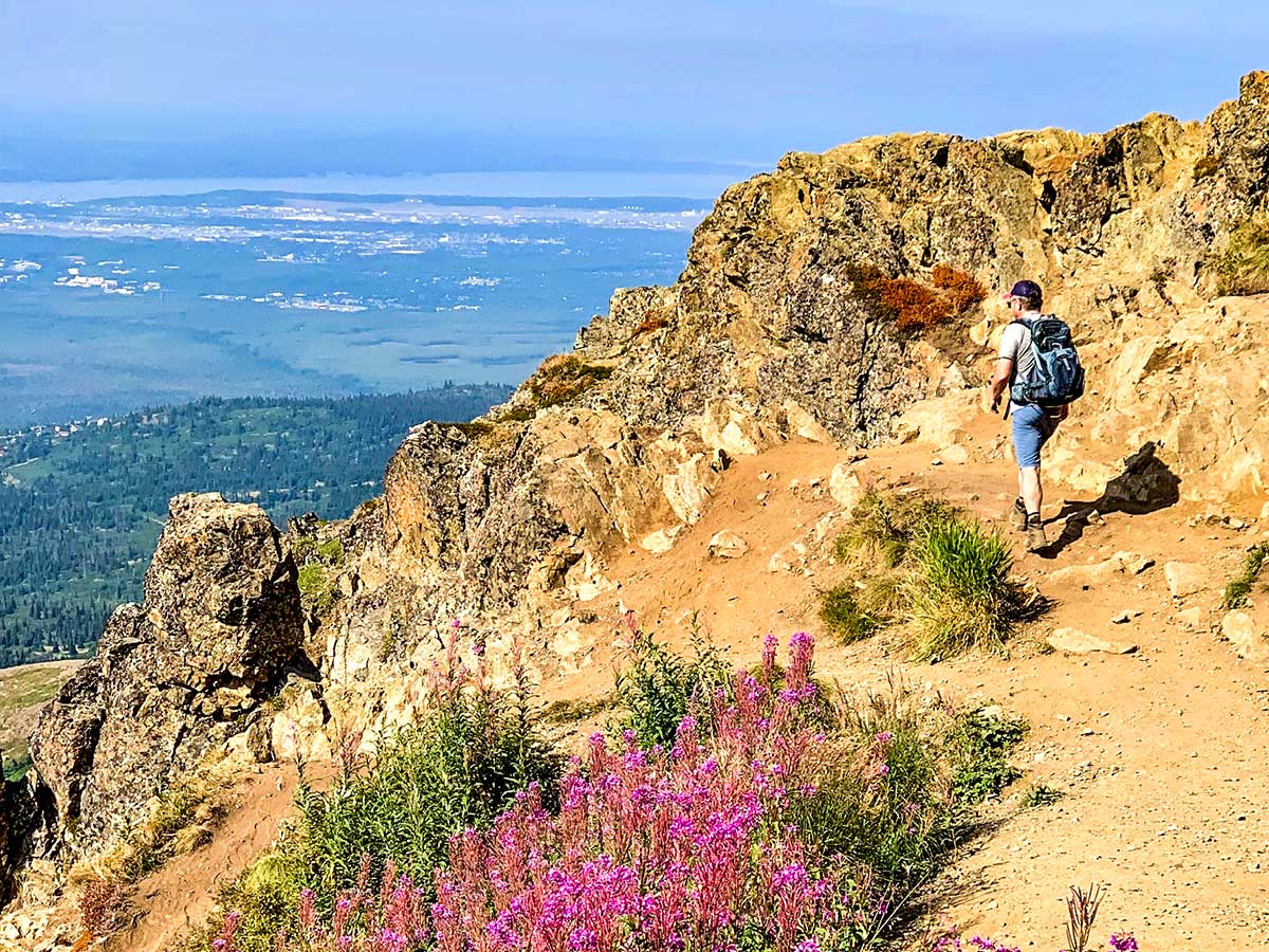 Hiker wildflowers and beautiful views from Flattop Mountain in Alaska