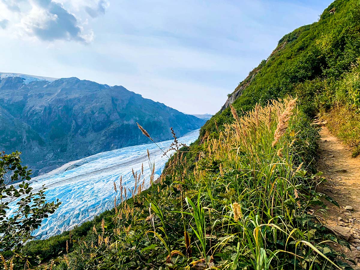 Path along Exit Glacier to Harding Icefield in Kenai Peninsula Alaska